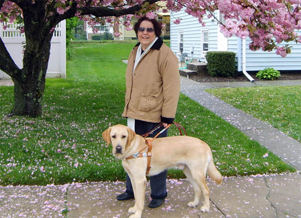 Foto da Ethel Rosenfeld conduzida por Czar numa calada sob uma rvore florida rosa.